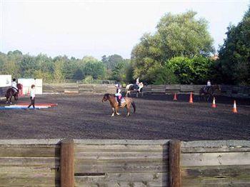 Willowbrook Riding Centre Chichester Dış mekan fotoğraf
